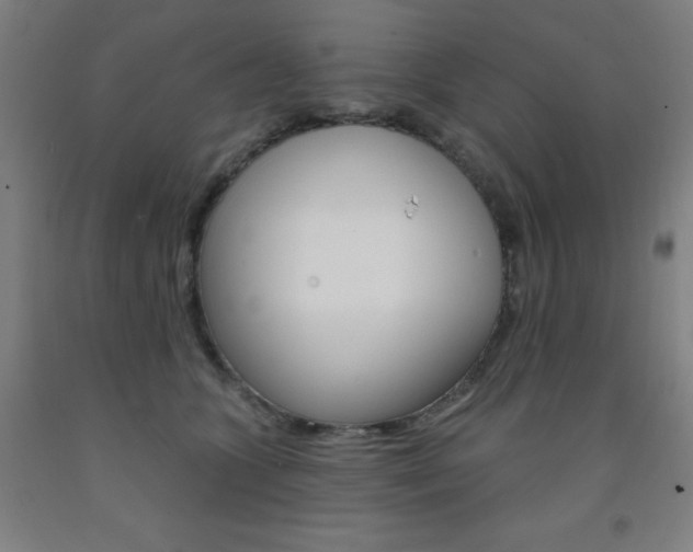 X0000093260563200709261620
