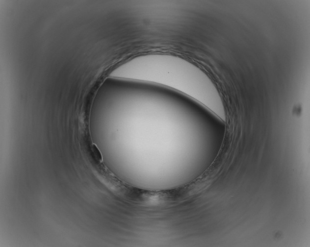 X0000093260564200709261620