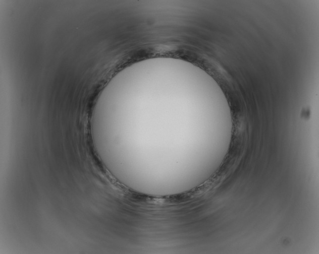 X0000093260565200709261620