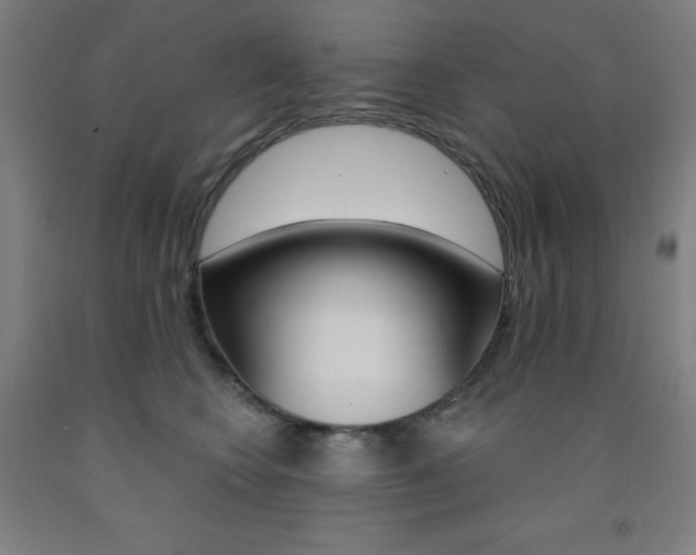 X0000093260566200709261620