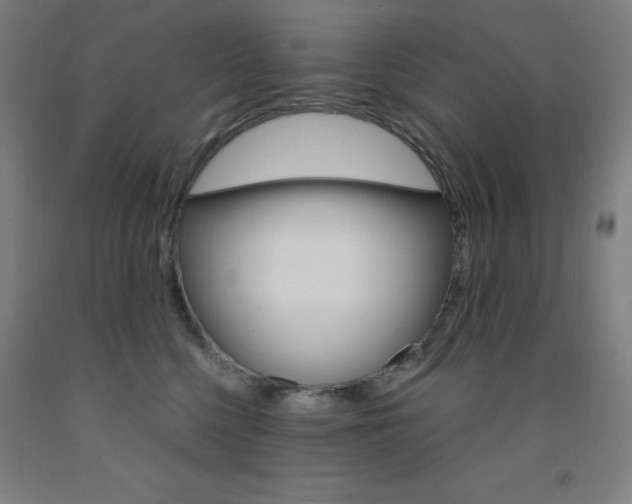 X0000093260568200709261620