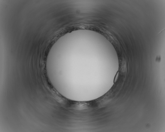 X0000093260569200709261620