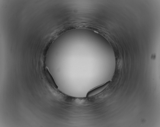 X0000093260570200709261620