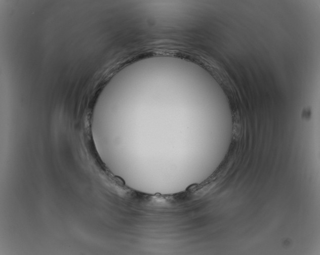 X0000093260573200709261621
