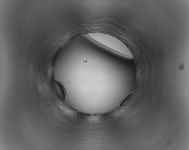 X0000093260574200709261621