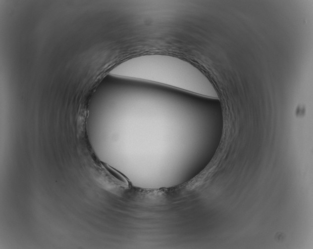 X0000093260576200709261621
