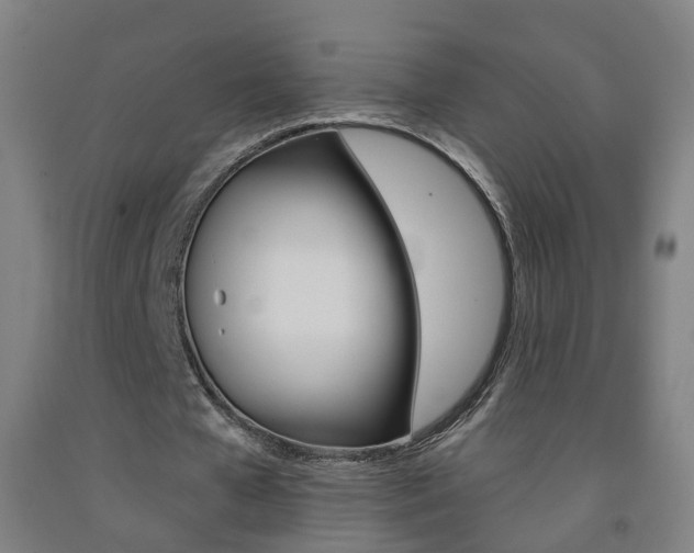 X0000093260577200709261620