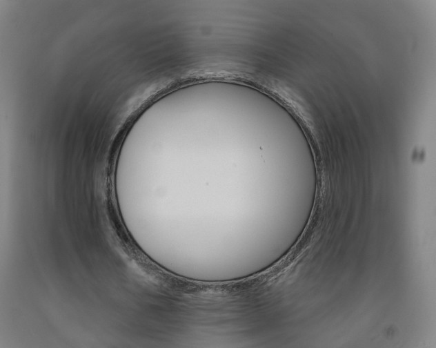 X0000093260578200709261620