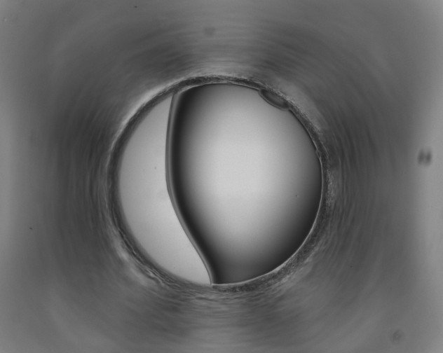 X0000093260580200709261620