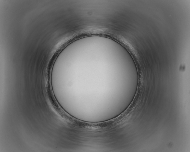 X0000093260582200709261620