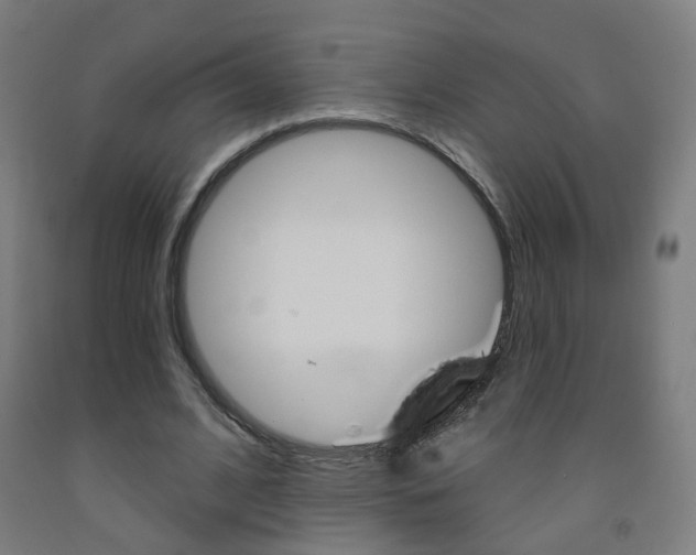 X0000093260584200709261620