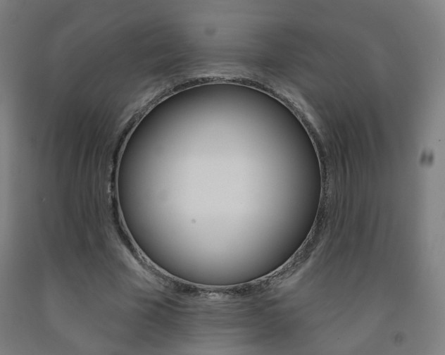 X0000093260585200709261620