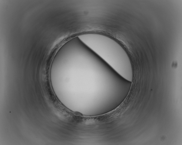 X0000093260587200709261620