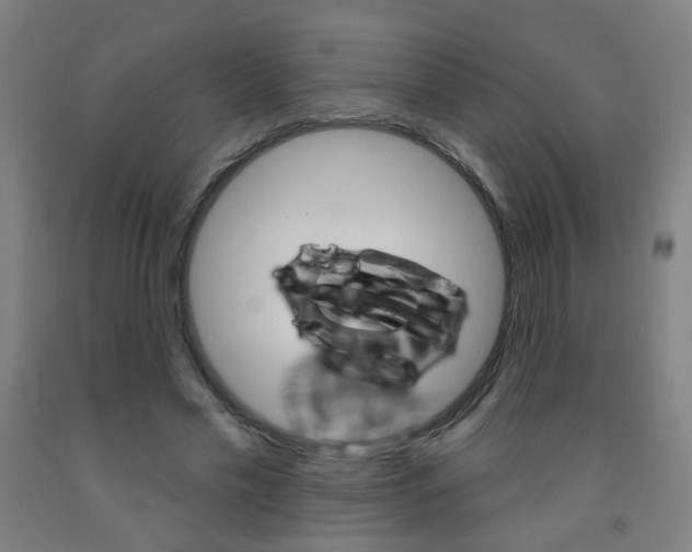 X0000093260589200709261620
