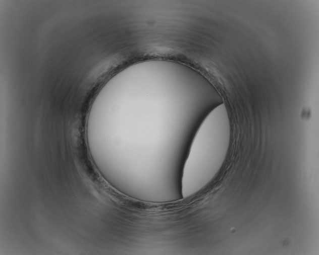 X0000093260591200709261620