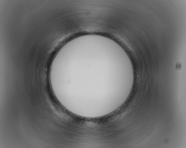 X0000093260592200709261620