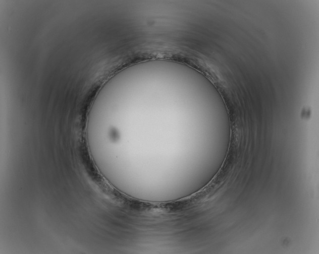 X0000093260594200709261620