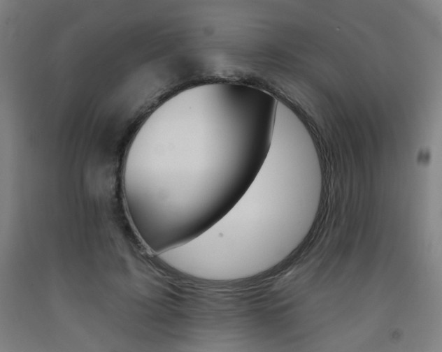 X0000093260595200709261620