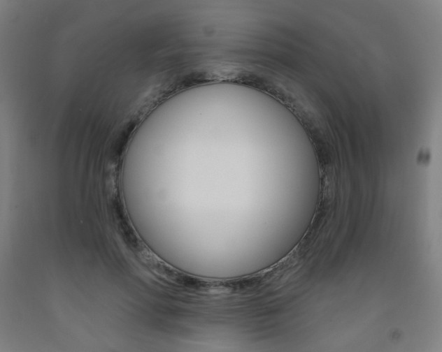X0000093260598200709261620