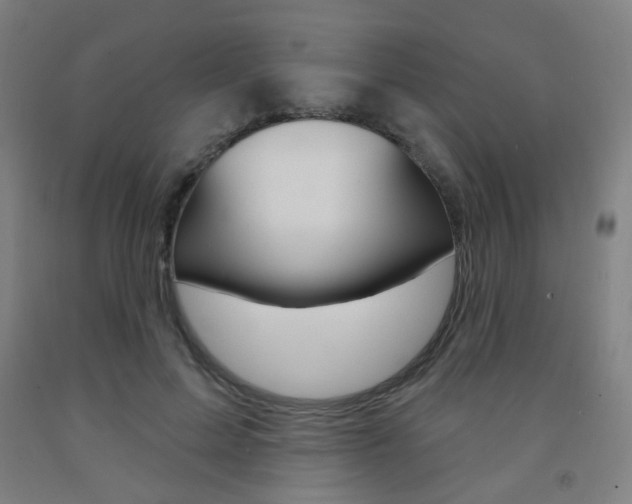 X0000093260599200709261620