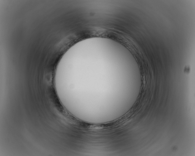 X0000093260602200709261619