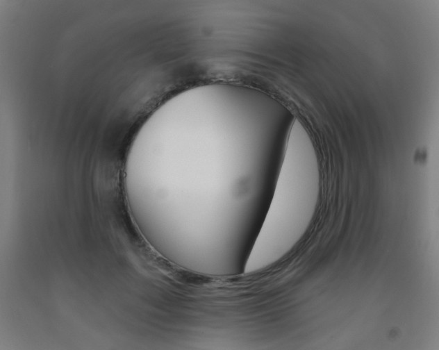 X0000093260603200709261619