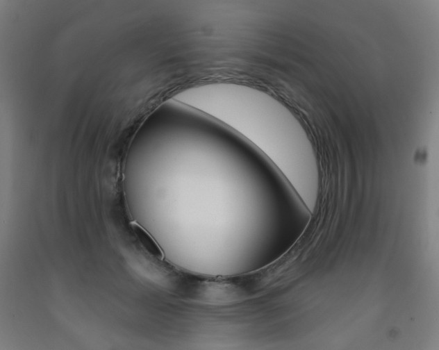 X0000093260605200709261619