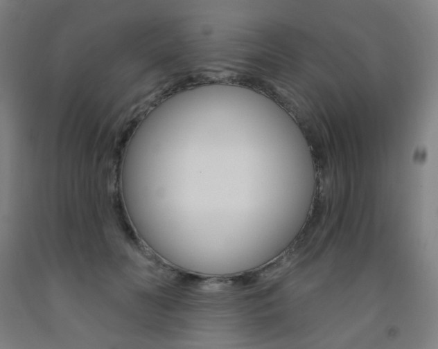 X0000093260606200709261619
