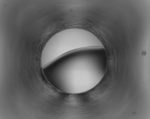 X0000093260608200709261619