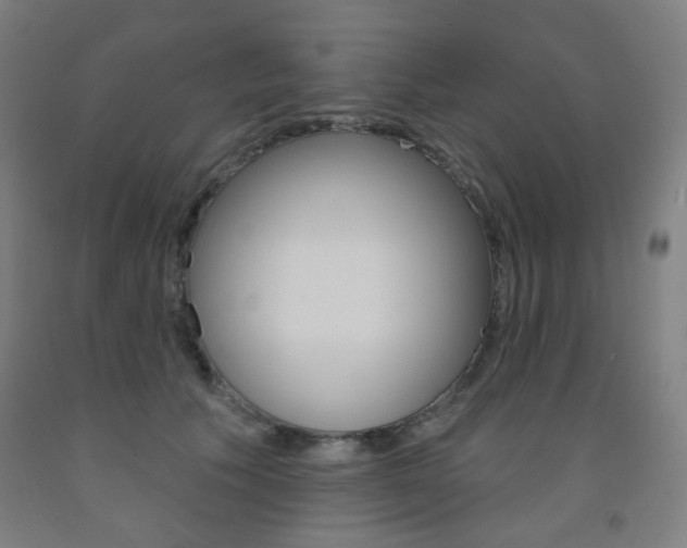 X0000093260609200709261619