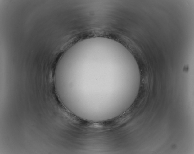 X0000093260610200709261619
