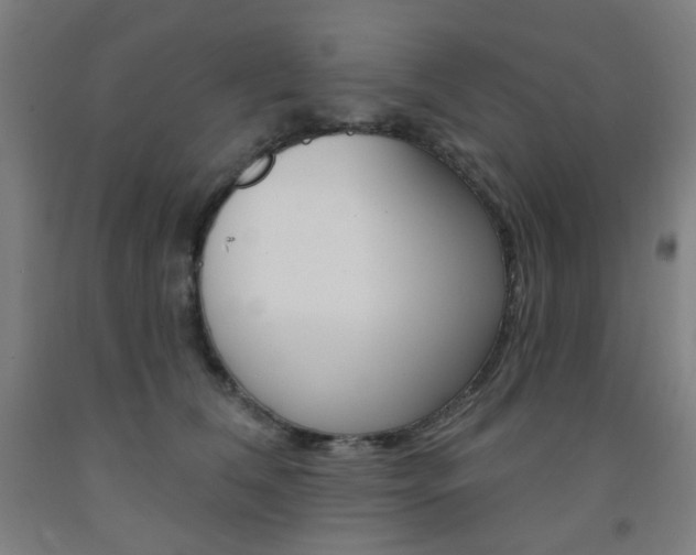 X0000093260612200709261619