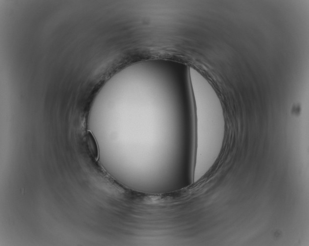 X0000093260613200709261619