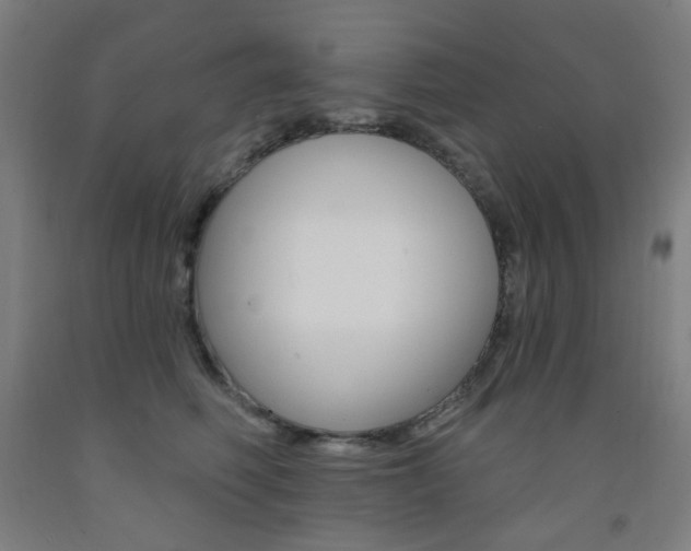 X0000093260614200709261619