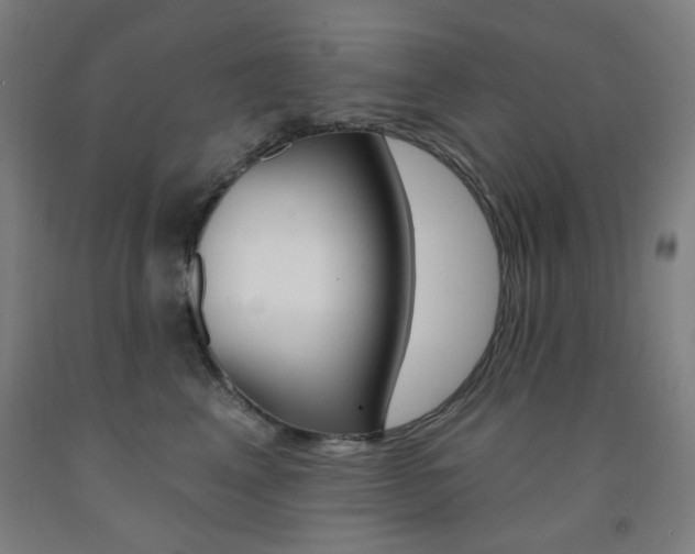 X0000093260617200709261619