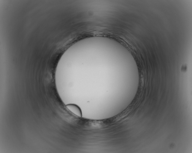 X0000093260618200709261619