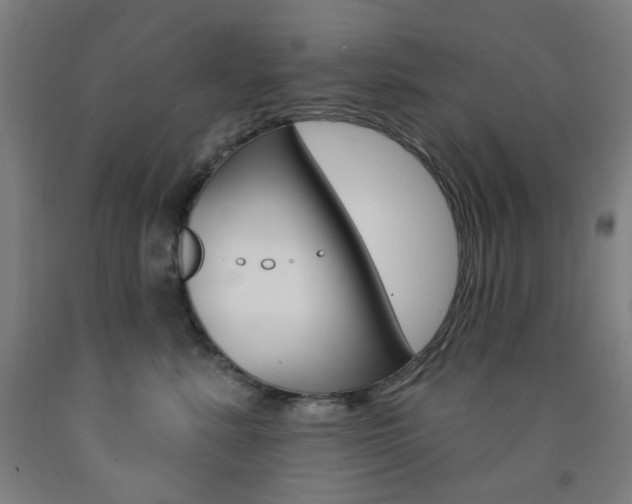 X0000093260619200709261619