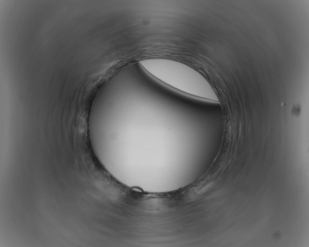 X0000093260620200709261619