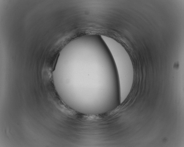 X0000093260621200709261619
