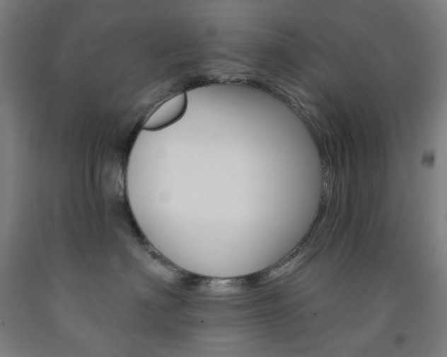 X0000093260622200709261619
