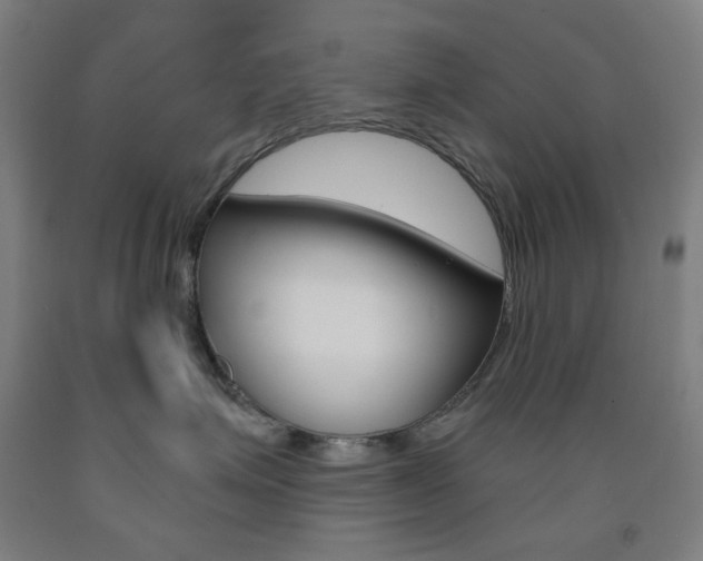 X0000093260623200709261619