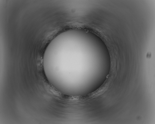 X0000093260624200709261619