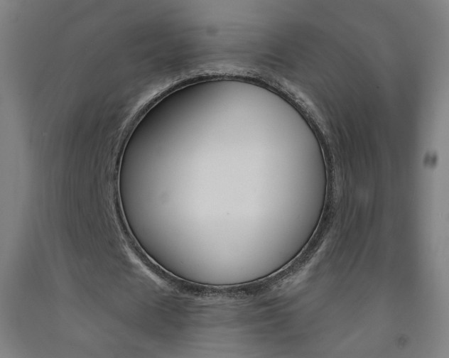 X0000093260625200709261619
