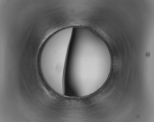 X0000093260626200709261619
