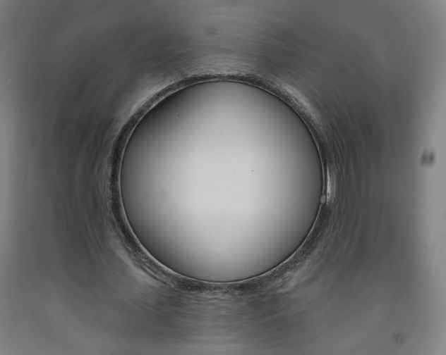 X0000093260627200709261619