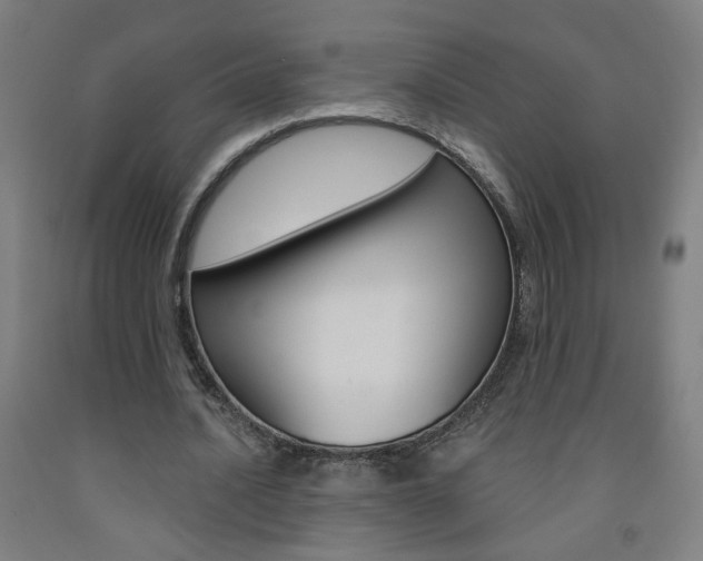 X0000093260628200709261619