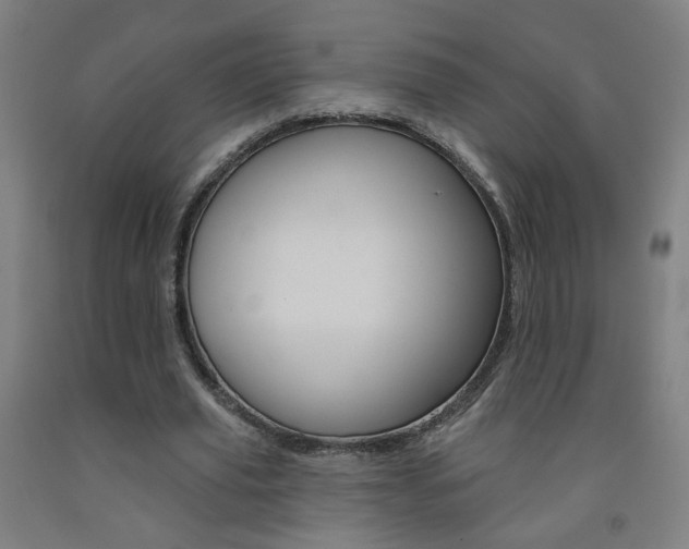 X0000093260629200709261619