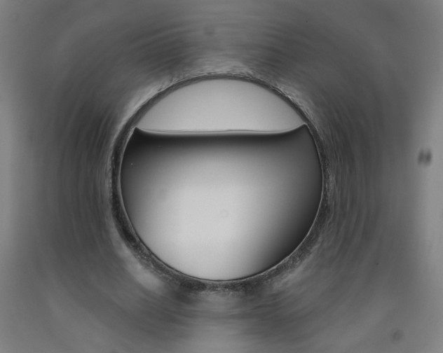 X0000093260630200709261619