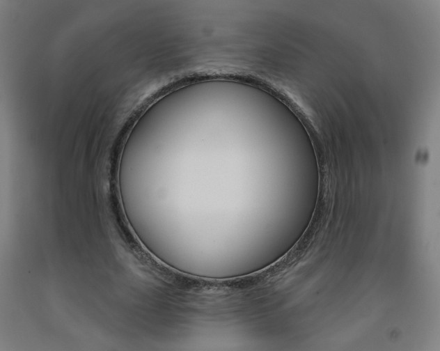 X0000093260631200709261619