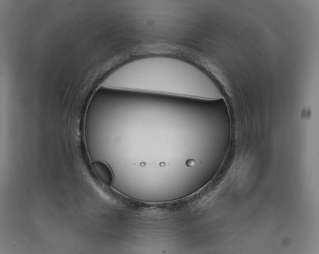 X0000093260633200709261619